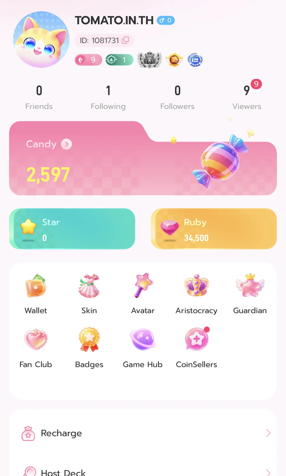 หน้าโปรไฟล์ในแอพ IDOL+ แสดงเมนู Game Hub รวมกับ Wallet Skin Avatar และเหรียญ Candy Star Ruby